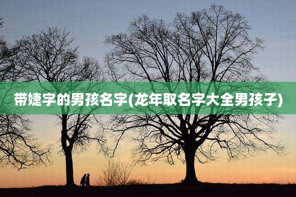 带婕字的男孩名字(龙年取名字大全男孩子)
