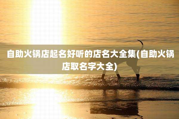 自助火锅店起名好听的店名大全集(自助火锅店取名字大全)