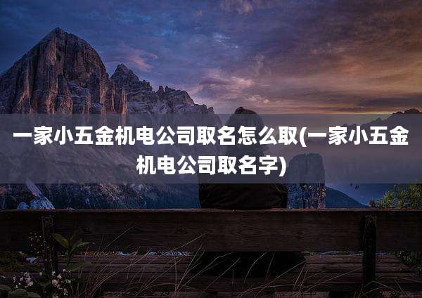 一家小五金机电公司取名怎么取(一家小五金机电公司取名字)