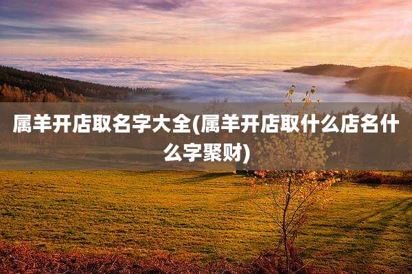 属羊开店取名字大全(属羊开店取什么店名什么字聚财)