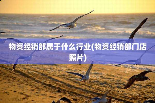 物资经销部属于什么行业(物资经销部门店照片)