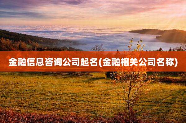 金融信息咨询公司起名(金融相关公司名称)