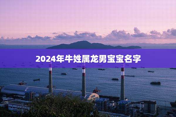 2024年牛姓属龙男宝宝名字