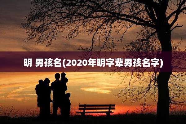 明 男孩名(2020年明字辈男孩名字)