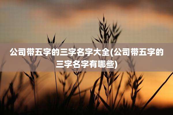 公司带五字的三字名字大全(公司带五字的三字名字有哪些)