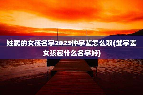 姓武的女孩名字2023仲字辈怎么取(武字辈女孩起什么名字好)