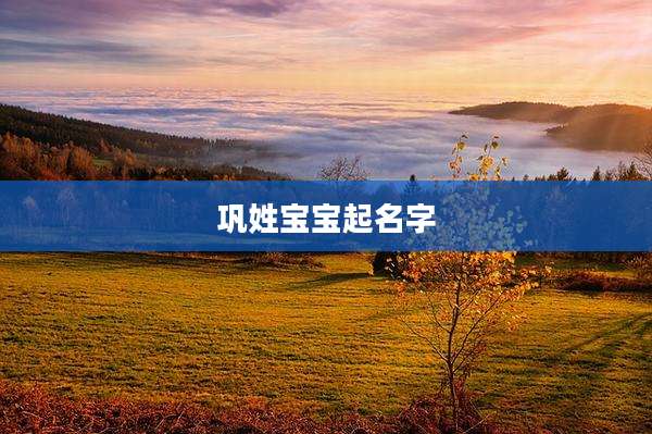 巩姓宝宝起名字