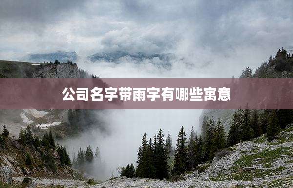 公司名字带雨字有哪些寓意