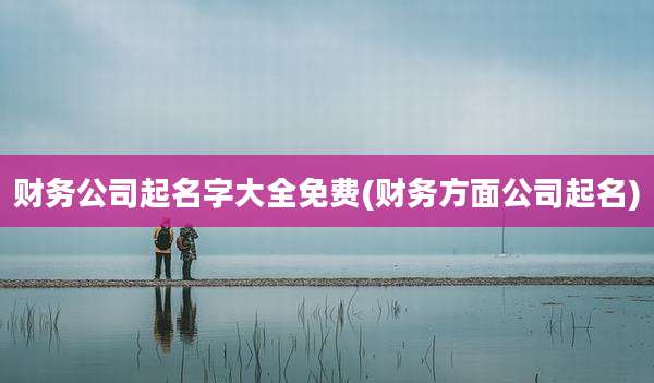财务公司起名字大全免费(财务方面公司起名)