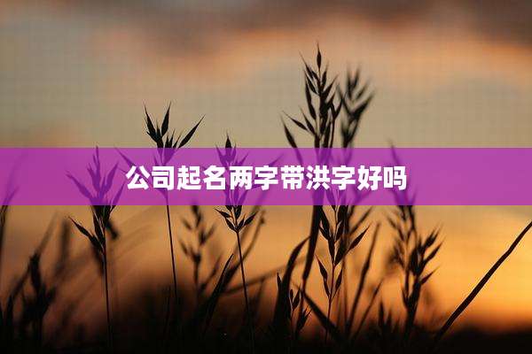 公司起名两字带洪字好吗