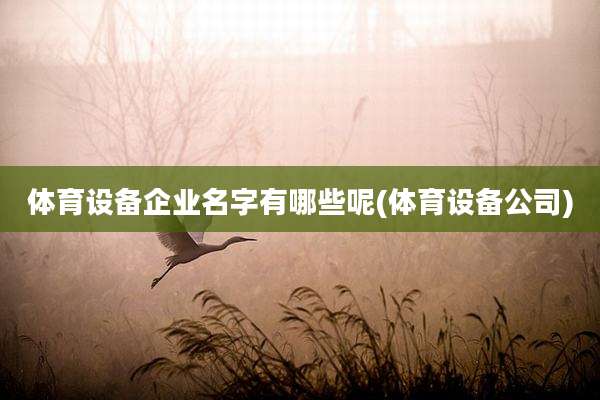 体育设备企业名字有哪些呢(体育设备公司)