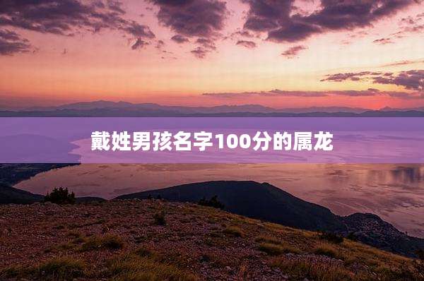 戴姓男孩名字100分的属龙