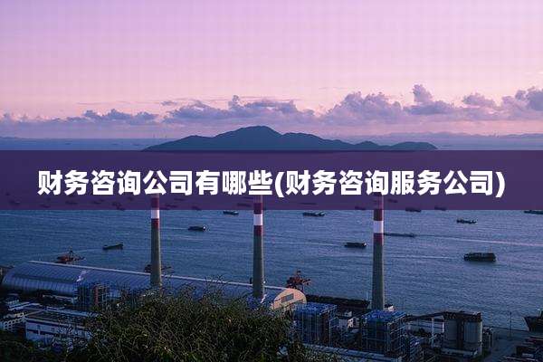 财务咨询公司有哪些(财务咨询服务公司)