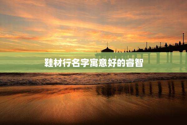 鞋材行名字寓意好的睿智