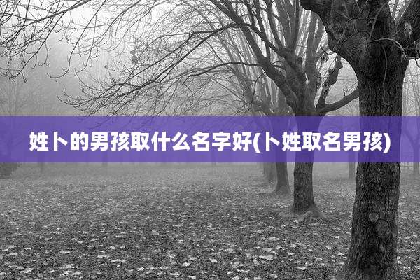 姓卜的男孩取什么名字好(卜姓取名男孩)