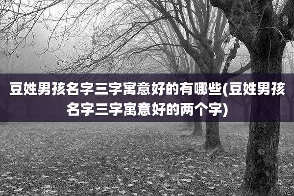 豆姓男孩名字三字寓意好的有哪些(豆姓男孩名字三字寓意好的两个字)