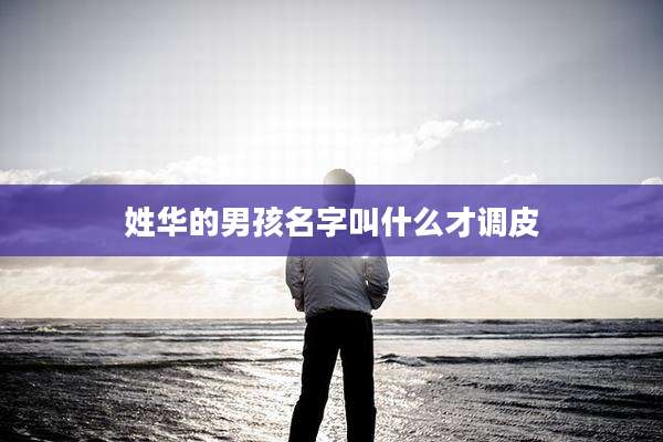姓华的男孩名字叫什么才调皮
