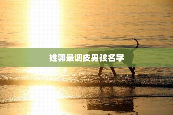 姓郭最调皮男孩名字