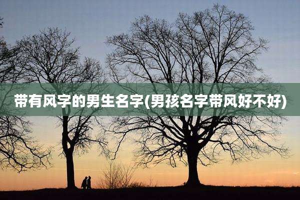 带有风字的男生名字(男孩名字带风好不好)