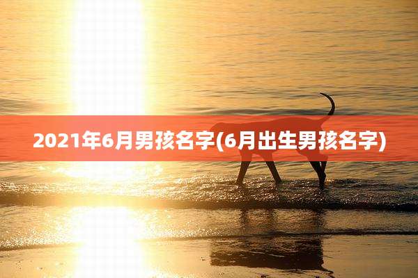2021年6月男孩名字(6月出生男孩名字)