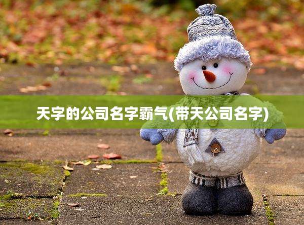 天字的公司名字霸气(带天公司名字)