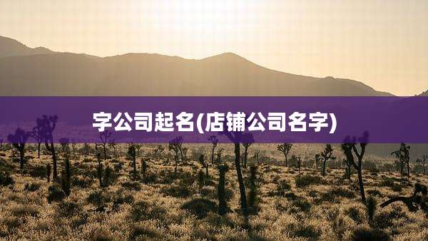字公司起名(店铺公司名字)