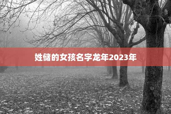 姓储的女孩名字龙年2023年