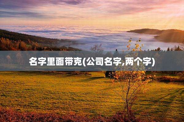 名字里面带克(公司名字,两个字)