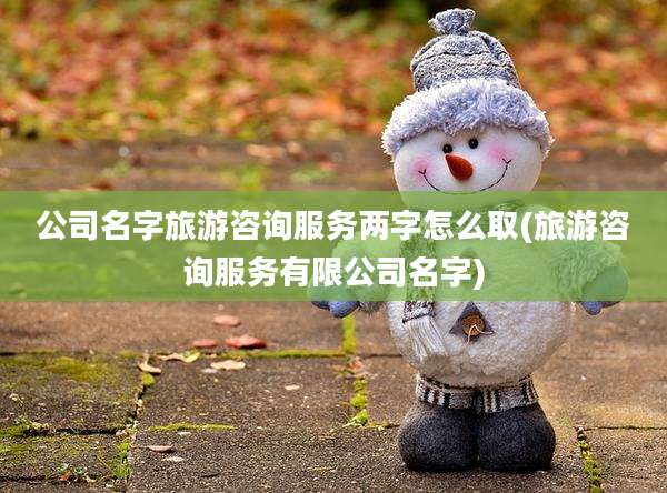 公司名字旅游咨询服务两字怎么取(旅游咨询服务有限公司名字)