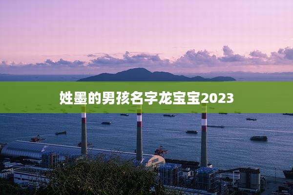 姓墨的男孩名字龙宝宝2023