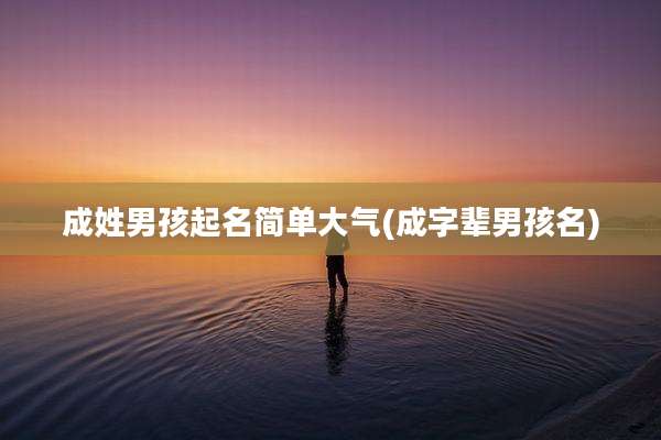 成姓男孩起名简单大气(成字辈男孩名)