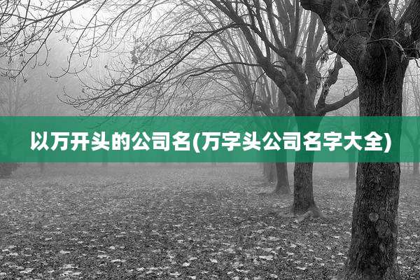 以万开头的公司名(万字头公司名字大全)