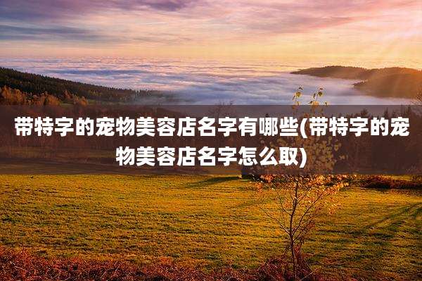 带特字的宠物美容店名字有哪些(带特字的宠物美容店名字怎么取)