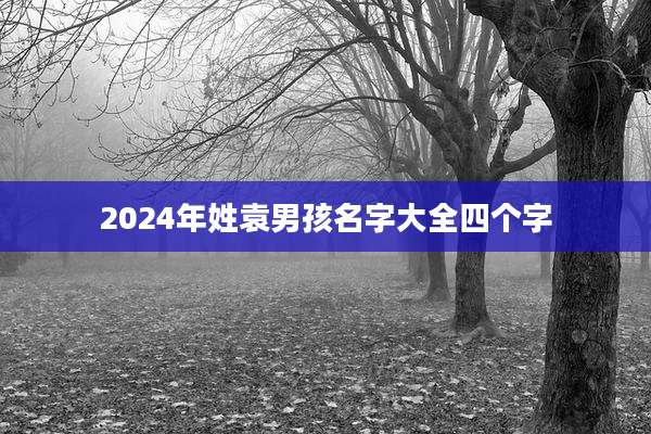 2024年姓袁男孩名字大全四个字