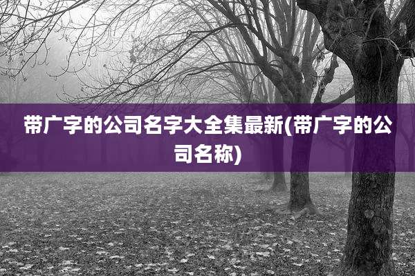 带广字的公司名字大全集最新(带广字的公司名称)