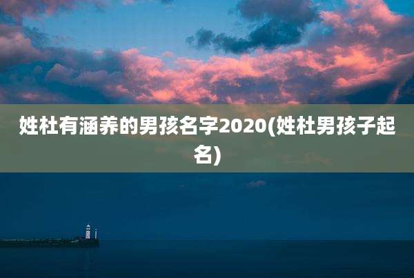 姓杜有涵养的男孩名字2020(姓杜男孩子起名)