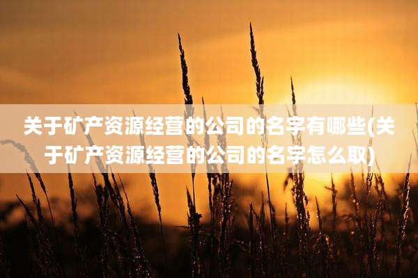 关于矿产资源经营的公司的名字有哪些(关于矿产资源经营的公司的名字怎么取)