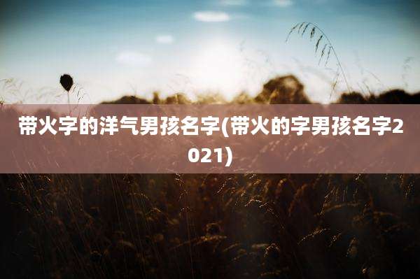 带火字的洋气男孩名字(带火的字男孩名字2021)