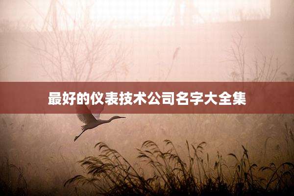 最好的仪表技术公司名字大全集