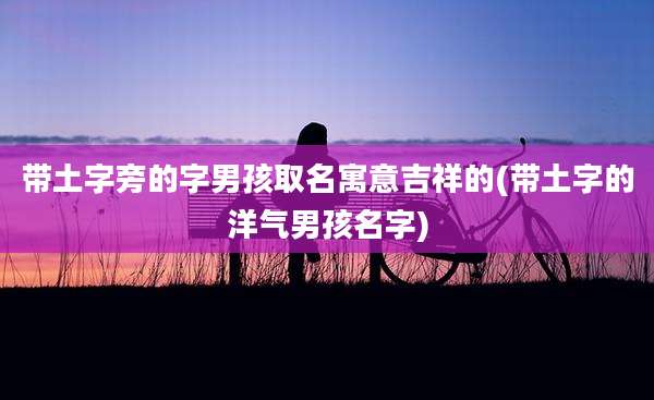 带土字旁的字男孩取名寓意吉祥的(带土字的洋气男孩名字)