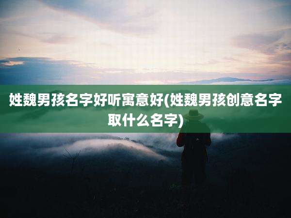 姓魏男孩名字好听寓意好(姓魏男孩创意名字取什么名字)