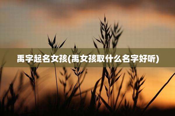 禹字起名女孩(禹女孩取什么名字好听)