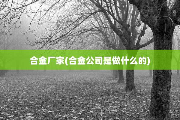 合金厂家(合金公司是做什么的)