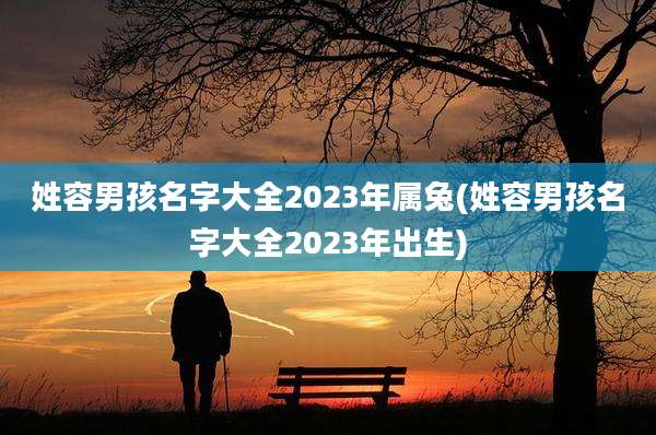 姓容男孩名字大全2023年属兔(姓容男孩名字大全2023年出生)