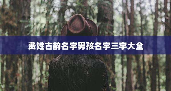费姓古韵名字男孩名字三字大全