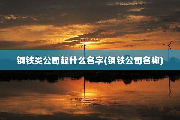 钢铁类公司起什么名字(钢铁公司名称)