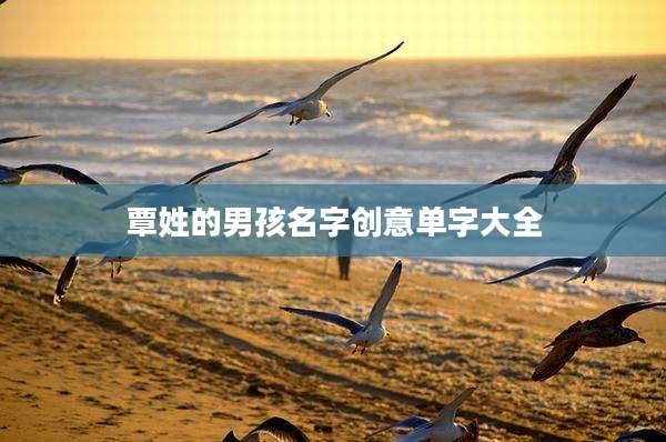 覃姓的男孩名字创意单字大全