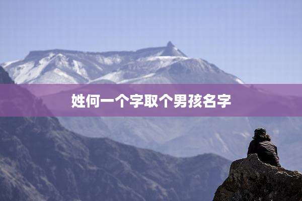 姓何一个字取个男孩名字