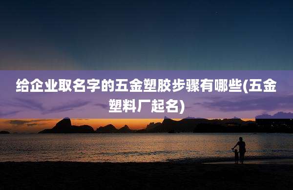 给企业取名字的五金塑胶步骤有哪些(五金塑料厂起名)