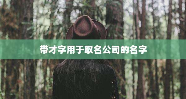 带才字用于取名公司的名字